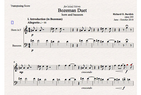 score sample Movement 1 Opus 243 by Richard Burdick